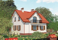 APS 141. Obraz #3