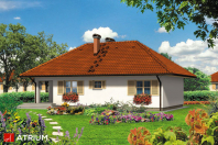 NIEZAPOMINAJKA (S-GL 352). Obraz #8