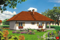NIEZAPOMINAJKA (S-GL 352). Obraz #8