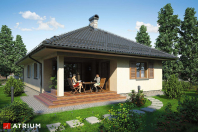 SFINKS (S-GL 498). Obraz #9