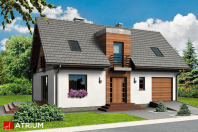 FORTIS (S-GL 499). Obraz #6