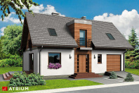FORTIS (S-GL 499). Obraz #5