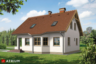 ELF (S-GL 261). Obraz #7