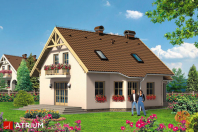 MAKSIU PLUS (S-GL 478). Obraz #8