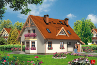 ANTOŚ (S-GL 164). Obraz #6