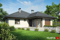 FAKTOR PLUS (S-GL 452). Obraz #6
