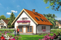 CZARUJĄCY NIKODEM (S-GL 295). Obraz #8