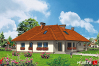 MERKURY (S-GL 406). Obraz #8