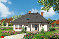 AKACJA (S-GL 205). Obraz #8