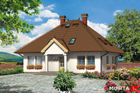 KONSUL (S-GL 116). Obraz #8