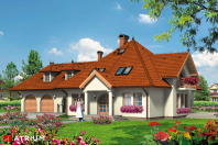 SZLACHCIC (S-GL 281). Obraz #5