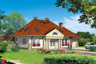 DWÓR GRAŻYNY (S-GL 206). Obraz #7