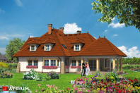 KARMAZYN (S-GL 450). Obraz #8