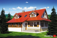 BESKID (S-GL 663). Obraz #6