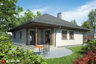 BURSZTYN (S-GL 315). Obraz #9