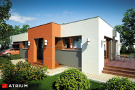 VIVA (S-GL 755). Obraz #10