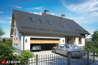 ROLEKS BIS IV (S-GL 887). Obraz #10