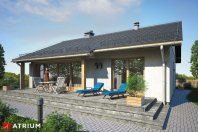 RICARDO XII (S-GL 963). Obraz #11
