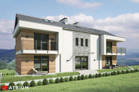 STUDIO HOUSE (S-GL 1359). Obraz #8