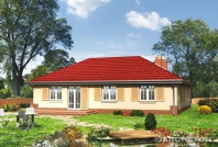 Cetyniec. Obraz #4