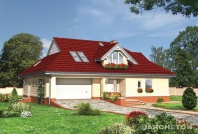 Dereń. Obraz #3