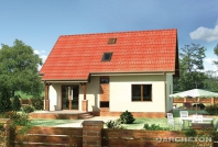 Kos. Obraz #4