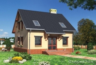 Staś. Obraz #4