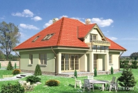 Złotokap. Obraz #4