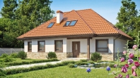 Z83. Obraz #4