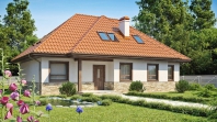 Z83. Obraz #4