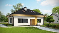 Z273 Ph+ st. Obraz #3