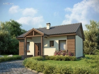 Z11 D. Obraz #3