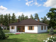 Irysek. Obraz #3