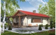 D180 - Lidka. Obraz #4