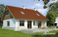 Delta. Obraz #8