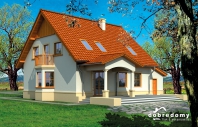 Feniks I. Obraz #8