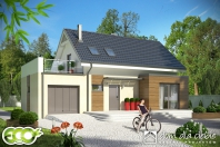Eco 1. Obraz #3