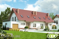 Sosnówka II BL2. Obraz #3
