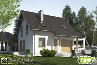 Turkawka A1. Obraz #4